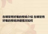 在哪里有好看的壁紙介紹 在哪里有好看的壁紙詳細情況如何