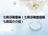 七級浮屠是啥（七級浮屠是指哪七級簡介介紹）
