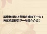 翠柳新栽枝上黃鶯聲婉轉(zhuǎn)下一句（黃鶯鳴翠柳的下一句簡介介紹）