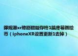 鑻規(guī)灉xr璁劇疆鏇存柊1鎬庝箞鍘繪帀（iphoneXR設(shè)置更新1去掉）