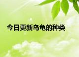 今日更新烏龜?shù)姆N類