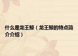 什么是龍王鯨（龍王鯨的特點(diǎn)簡介介紹）
