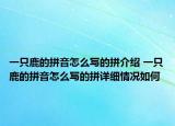 一只鹿的拼音怎么寫的拼介紹 一只鹿的拼音怎么寫的拼詳細情況如何