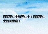 日冕圣斗士和天斗士（日冕圣斗士的龍骨座）