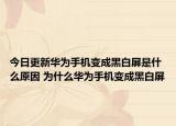 今日更新華為手機(jī)變成黑白屏是什么原因 為什么華為手機(jī)變成黑白屏