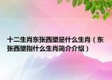 十二生肖東張西望是什么生肖（東張西望指什么生肖簡介介紹）