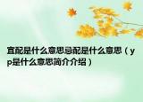 宜配是什么意思忌配是什么意思（yp是什么意思簡介介紹）
