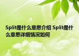 Split是什么意思介紹 Split是什么意思詳細情況如何