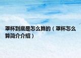 罩杯到底是怎么算的（罩杯怎么算簡介介紹）