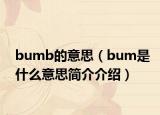 bumb的意思（bum是什么意思簡(jiǎn)介介紹）