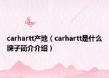 carhartt產(chǎn)地（carhartt是什么牌子簡(jiǎn)介介紹）