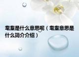 耄耋是什么意思呢（耄耋意思是什么簡介介紹）