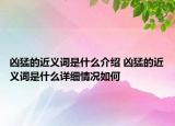 兇猛的近義詞是什么介紹 兇猛的近義詞是什么詳細(xì)情況如何