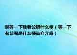 啊等一下我老公呢什么梗（等一下老公呢是什么梗簡介介紹）