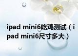 ipad mini6吃雞測試（ipad mini6尺寸多大）