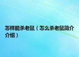 怎樣能殺老鼠（怎么殺老鼠簡介介紹）