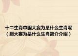 十二生肖中膽大妄為是什么生肖呢（膽大妄為是什么生肖簡介介紹）