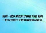 我有一把長(zhǎng)頸鹿尺子拼音介紹 我有一把長(zhǎng)頸鹿尺子拼音詳細(xì)情況如何