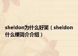 sheldon為什么好笑（sheldon什么梗簡介介紹）