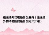 逍遙法外動物是什么生肖（逍遙法外的動物指的是什么簡介介紹）