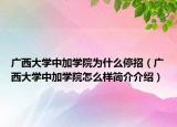 廣西大學(xué)中加學(xué)院為什么停招（廣西大學(xué)中加學(xué)院怎么樣簡介介紹）