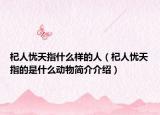 杞人憂天指什么樣的人（杞人憂天指的是什么動(dòng)物簡(jiǎn)介介紹）