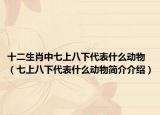 十二生肖中七上八下代表什么動(dòng)物（七上八下代表什么動(dòng)物簡介介紹）