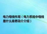電力母線作用（電力系統(tǒng)中母線是什么意思簡介介紹）
