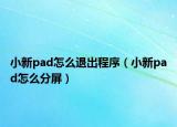 小新pad怎么退出程序（小新pad怎么分屏）