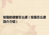 驚蟄的讀音怎么讀（驚蟄怎么讀簡介介紹）