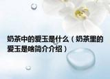 奶茶中的愛(ài)玉是什么（奶茶里的愛(ài)玉是啥簡(jiǎn)介介紹）
