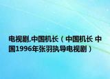 電視劇,中國機長（中國機長 中國1996年張羽執(zhí)導(dǎo)電視?。? /></span></a>
                        <h2><a href=