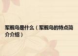 軍艦鳥是什么（軍艦鳥的特點簡介介紹）