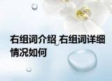 右組詞介紹 右組詞詳細(xì)情況如何