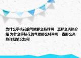 為什么攀枝花的氣候那么特殊啊一直那么炎熱介紹 為什么攀枝花的氣候那么特殊啊一直那么炎熱詳細情況如何