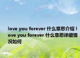 love you forever 什么意思介紹 love you forever 什么意思詳細(xì)情況如何