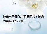 神舟七號(hào)伴飛小衛(wèi)星圖片（神舟七號(hào)伴飛小衛(wèi)星）