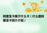 阿里寶卡屬于什么卡（什么是阿里寶卡簡(jiǎn)介介紹）