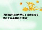 孫策的媳婦是大喬嗎（孫策的妻子是誰大喬是妾簡介介紹）