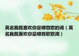 莫名我就喜歡你是哪首歌的詞（莫名我就喜歡你是哪首歌歌詞）