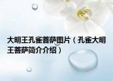 大明王孔雀菩薩圖片（孔雀大明王菩薩簡(jiǎn)介介紹）