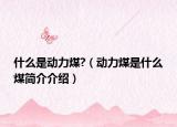 什么是動力煤?（動力煤是什么煤簡介介紹）