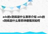 adc的c到底是什么意思介紹 adc的c到底是什么意思詳細情況如何