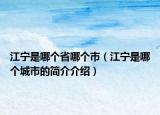 江寧是哪個(gè)省哪個(gè)市（江寧是哪個(gè)城市的簡(jiǎn)介介紹）