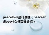 peacelove是什么梗（peaceandlove什么梗簡(jiǎn)介介紹）