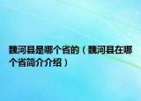 魏河縣是哪個(gè)省的（魏河縣在哪個(gè)省簡(jiǎn)介介紹）