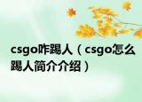 csgo咋踢人（csgo怎么踢人簡(jiǎn)介介紹）