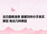 當(dāng)日最新消息 謝娜劉燁分手真實原因 有這幾種原因