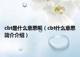 cbt是什么意思呢（cbt什么意思簡介介紹）