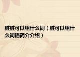 臟臟可以組什么詞（臟可以組什么詞語簡介介紹）